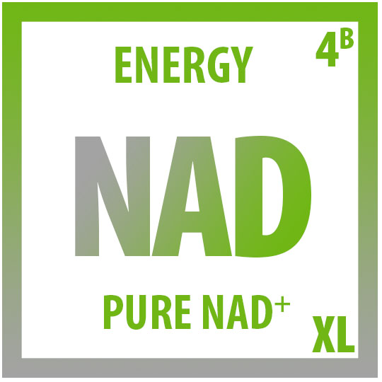 NAD IV for ENERGY