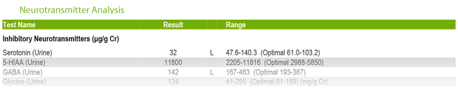 Edmonton Naturopathic Mental Health Neurotransmitter Testing 