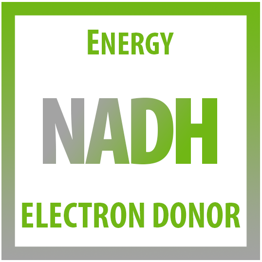 NADH IV Therapy Edmonton